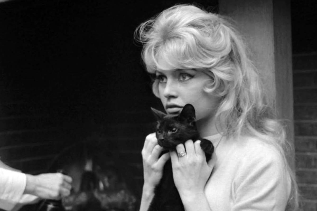 brigitte bardot Ferrari 365 GT/4 BB