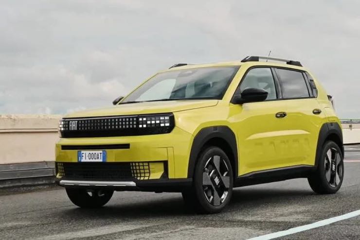 Grande Panda novità